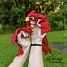 Pocket Phoenix Family pattern