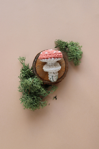 Tiny Toadstool photo 1