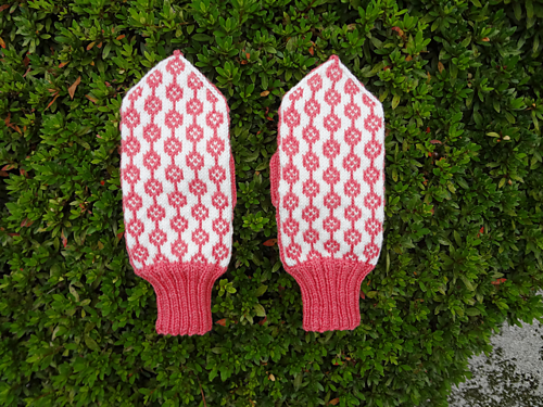Hanamomo Mittens photo 1