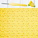 Lemon Peel Stitch Washcloth pattern