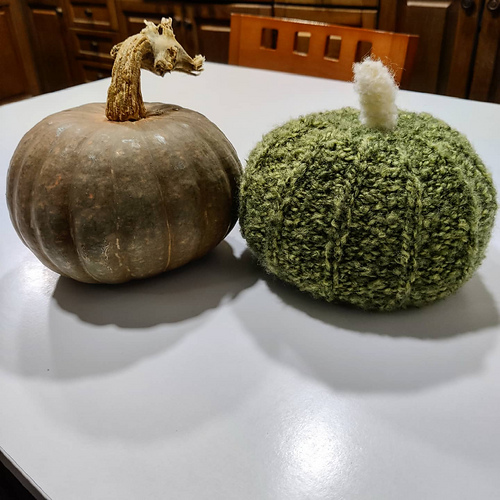 0-1500 Cinderella's Pumpkins photo 3