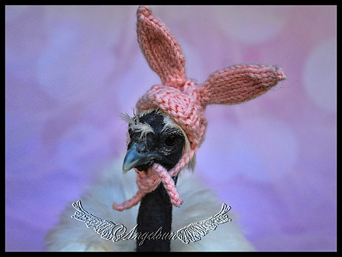 Gretchen's Bunny Hat (Chicken Hat) photo 1