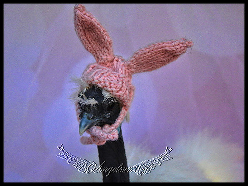 Gretchen's Bunny Hat (Chicken Hat) photo 3