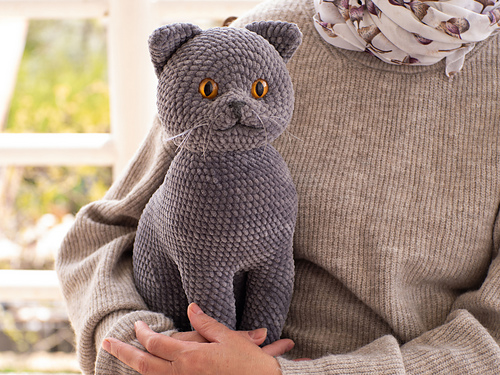 British cat