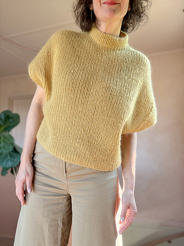 Twiggy Top