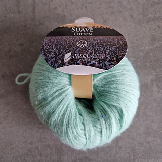 21 Pascuali Suave 58