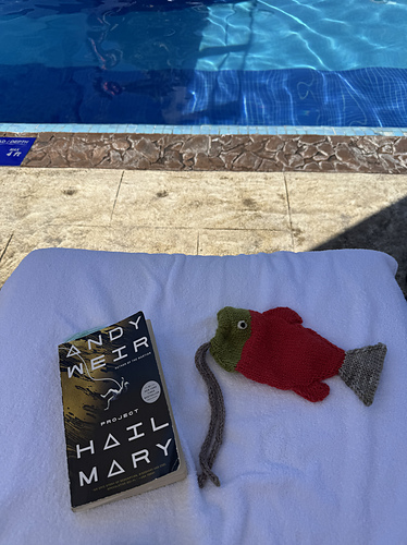 Scandi Swimmer Pouch photo 8