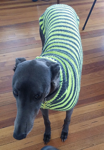 Ravelry: Stripey Greyhound Sweater pattern by Houndtees