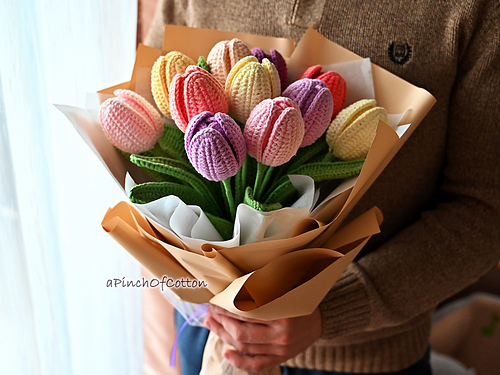 Tulip Flower