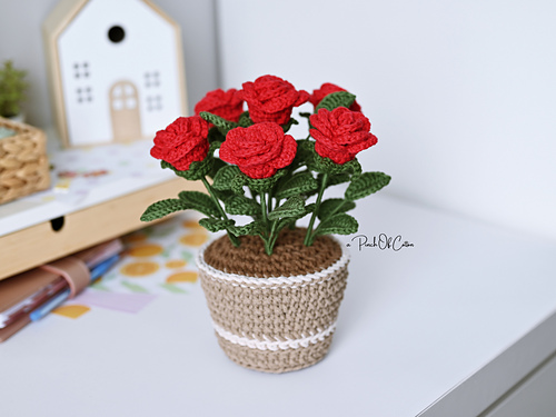 Rose in a Pot
