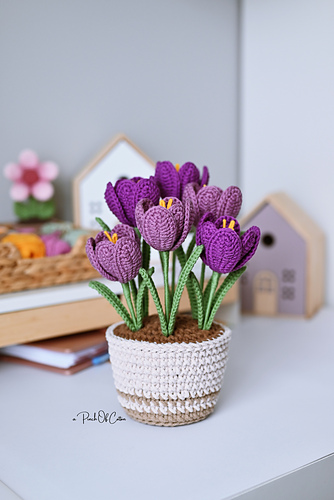 Crocus in a Pot