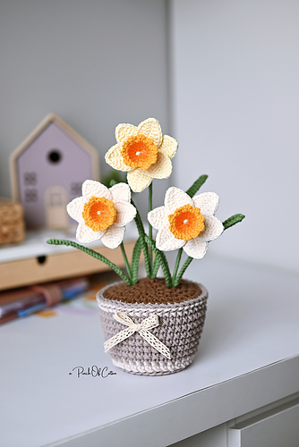 Daffodil in a Pot