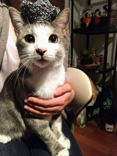 Kattkrona - byaranyita