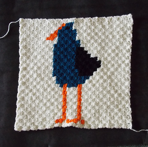 Pukeko bird ( purple swamphen ) - C2C