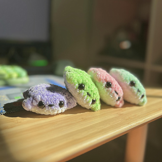 Pocket Frogs in different colors.
