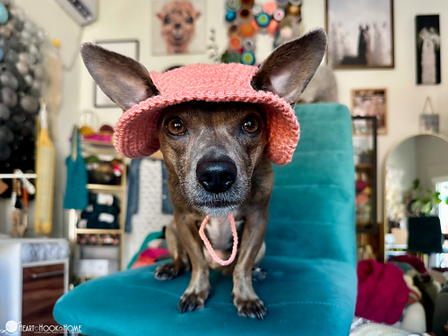 Dog Bucket Hat photo 2
