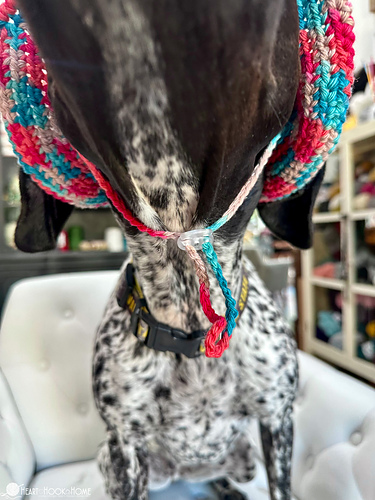 Dog Bucket Hat photo 8