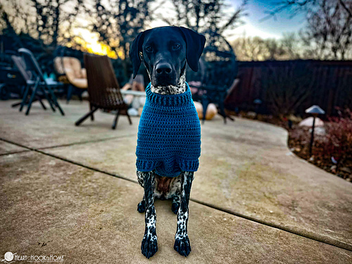 Raglan Dog Sweater photo 6