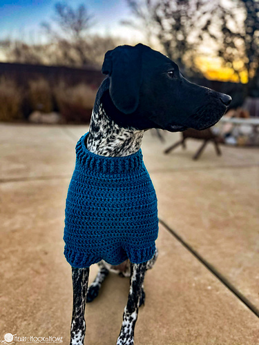 Raglan Dog Sweater photo 5