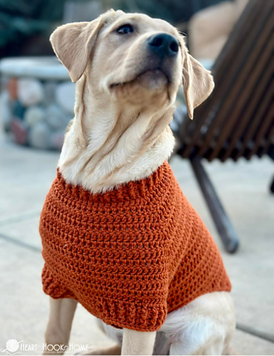 Raglan Dog Sweater photo 2