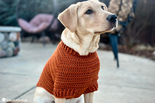 Raglan Dog Sweater photo 4