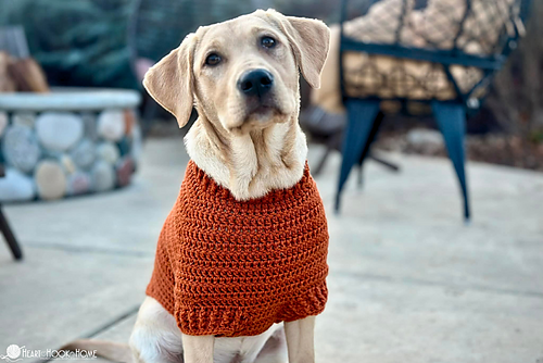 Raglan Dog Sweater photo 3