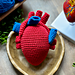 Anatomical Heart pattern