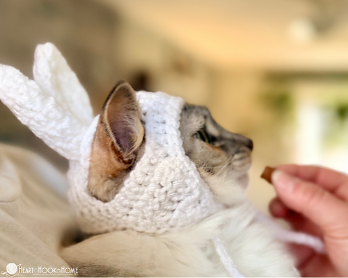 Easter Bunny Cat Hat photo 4