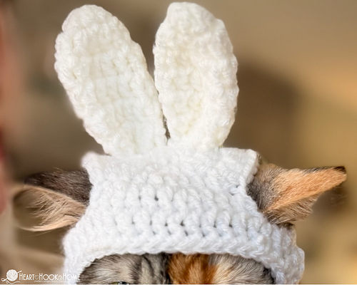 Easter Bunny Cat Hat photo 5