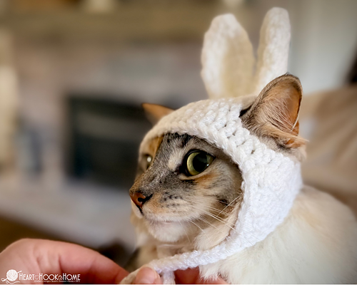 Easter Bunny Cat Hat photo 3