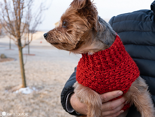 Dandy Dog Sweater photo 11