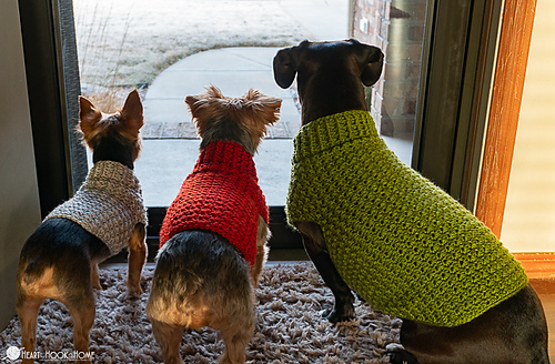 Dandy Dog Sweater photo 9