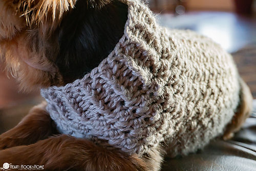 Dandy Dog Sweater photo 10