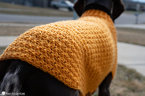 Large & Giant Dog Sweater photo 10