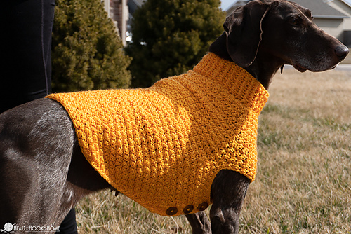 Large & Giant Dog Sweater photo 12