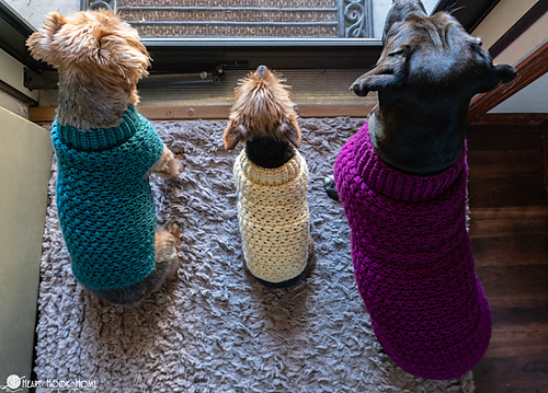 Stellar Dog Sweater photo 6