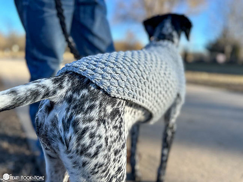 Wild Berry Dog Sweater photo 7