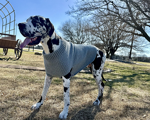 Large & Giant Dog Sweater photo 2