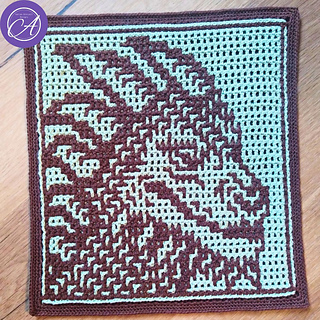 Interlocking crochet sample by Maja Serec