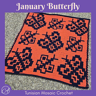 Tunisian mosaic crochet sample