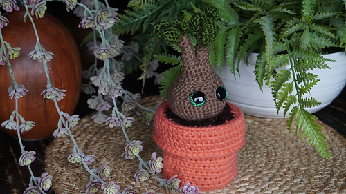 (Impkin not included in this purchase)