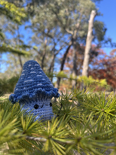 Blue Mushroom