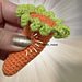 Snap Stres Toy Carrot pattern 