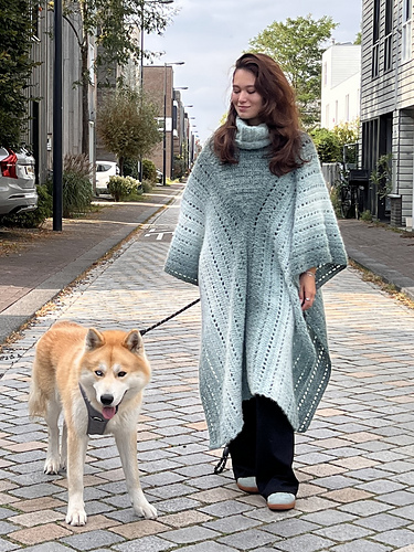 Snowfall Poncho
