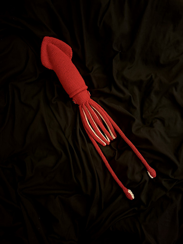Gerald the Giant Squid