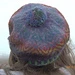 Highland Dreams Tam pattern 