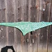 Waldgeflüster pattern 