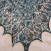 Laminaria photo 3
