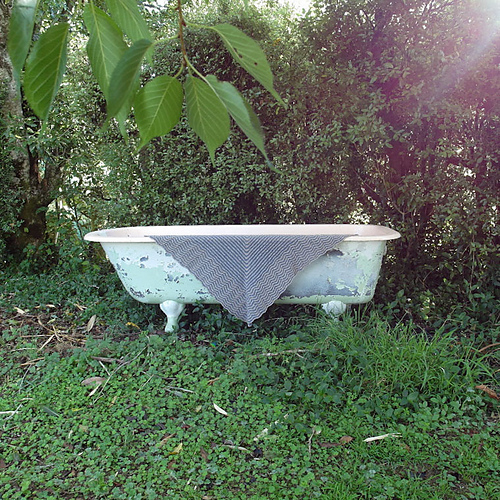 Seaswell - Amy van de Laar