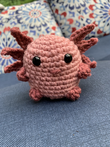 Funny Axolotl photo 7